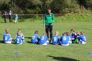 米兰体育app下载-中国篮球教练员团队协作能力培养与管理实践，篮球教练员在团队中扮演了哪些角色